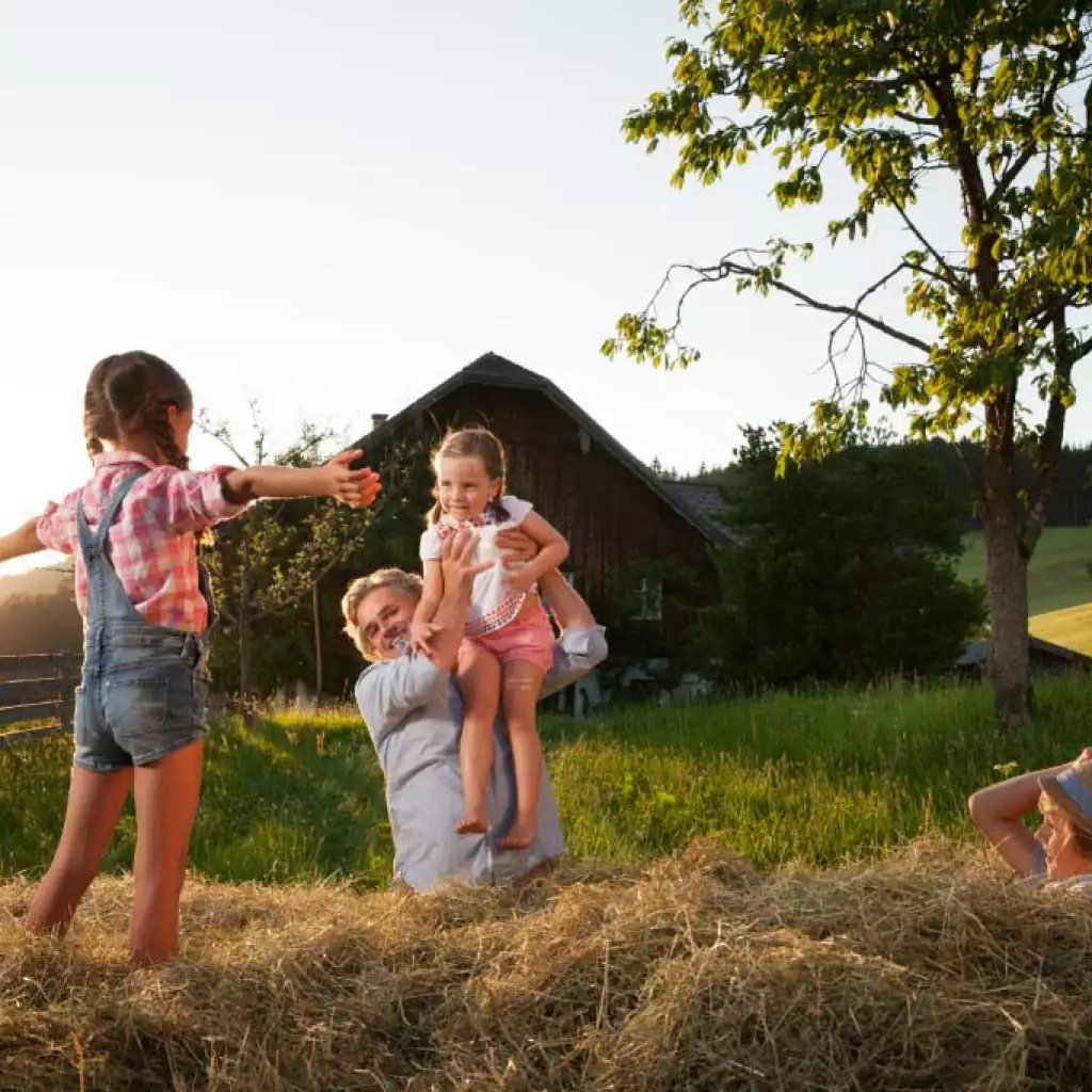 bild_content_impressionen