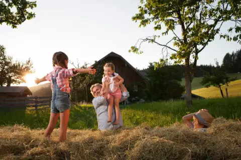 bild_content_impressionen